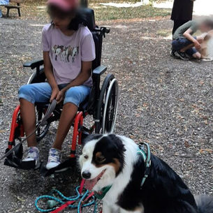 Une jolie balade au parc avec les enfants de l’IME Malécot accompagnés pour l’occasion de Tarek,Night &. Lotus