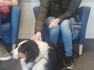 EPSM D’ARMENTIÈRES avec MOÏRA et RIVEN Que du bonheur !!!