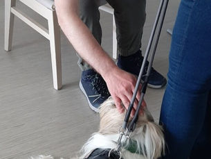 La marelle avec Tarek,Romy,Night et Lotus