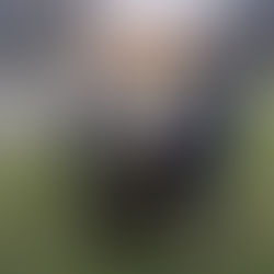 AU FOYER NOTRE DAME A AUBRY avec Igor, Jolie et Elvis.Une superbe balade hivernale avec les résidents de l’activité médiation animale