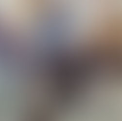 EHPAD LE CHÂTEAU A ECAILON AVEC MERLIN NEVY ET PLUME