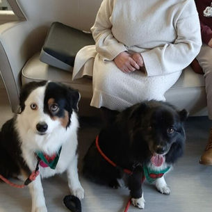 Lotus et Night à la Marelle.