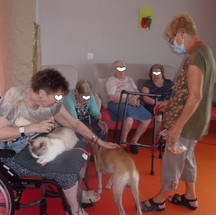 LES GODENETTES  TRITH ST LEGER