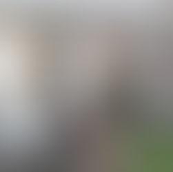 EHPAD JOSEPH POREBSKI