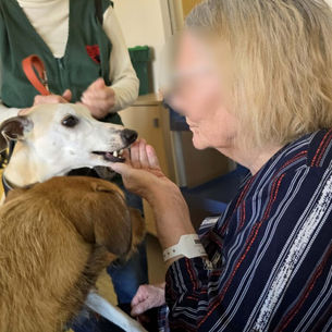 L’adorable Swann, la douce Plume et les 2 complices Navy & Ben ont rendu visite aux patients du Centre Constance Pascal de Valenciennes ce samedi 5 avril. Câlins, bisous, marche dans les couloirs e...