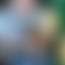 Les Iris Sains en Gohelle avec Ida,Sidonie et Night.