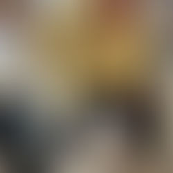 Un bien joli quatuor aux jardins de Liévin. Toffee,Tarek,Nouba & Night.