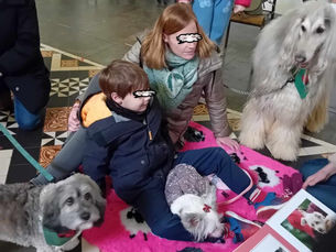 SÉANCE EXCEPTIONNELLE A VILLEREAU