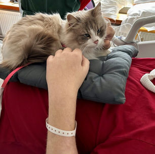 message poignant..mais qui justifie notre action