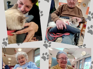 EHPAD ÉMILE DUBOIS A MARCHIENNES Mardi 24 Septembre 2024 : Visite de l’association » le cœur sur la patte » les animaux ont été bien câlinés