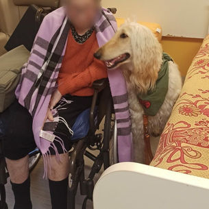 Moïra et Tarek ont fait connaissance de leur nouveau copain dans les bras de Claude Saint Antoine de Padoue LILLE