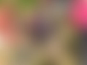 HOPITAL DE JOUR VALENCIENNES AVEC OPALINE MERLIN ET NEVY