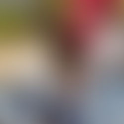 LA RIVE D OR NOYELLES GODAULT AVEC NEPAL MOON ET ILANG