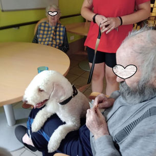 LA RIVE D OR NOYELLES GODAULT AVEC NEPAL MOON ET ILANG