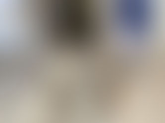 Opaline, Swann, Ben et Plume ont rendu visite aux patients du Centre Constance Pascal de Valenciennes ce samedi 7 juin.Ils ont pu, encore une fois, apporter un grand réconfort à chacun, apaiser les...