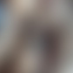 FIDGI, MOÏRA et la nouvelle copine RIVEN à SAINT ANTOINE DE PADOUE (LILLE)