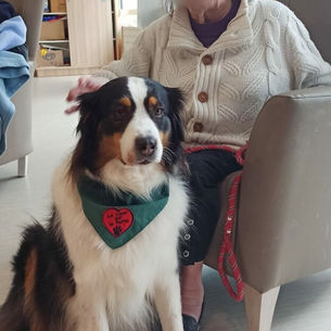 FIDGI, MOÏRA et la nouvelle copine RIVEN à SAINT ANTOINE DE PADOUE (LILLE)