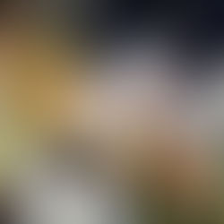 Les jardins d’Estracelle avec ida sidonie et night