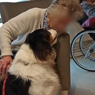 Des regards Des bisous Des câlin Du bonheur avec FIDGI et MOÏRA à Saint Antoine de Padoue A LILLE