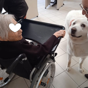 Belle séance au Logis Douaisien avec Lola et Nevy
