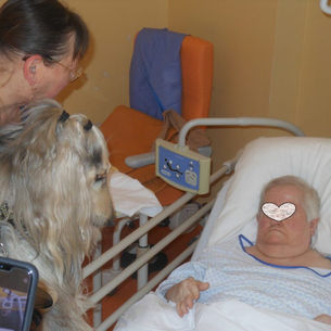 PLAINE DE LA SCARPE LALLAING