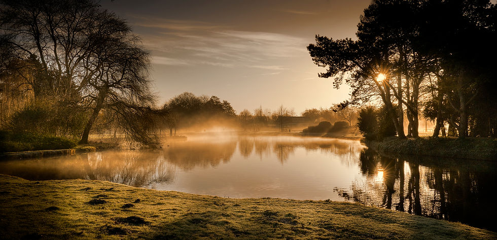 © Wilhelminaplantsoen