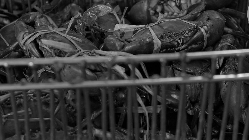 DRTB Stills_1.3.1.jpg