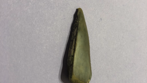 化石も見つけたよ。