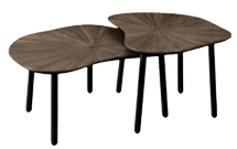 image-removebg-preview (70).png