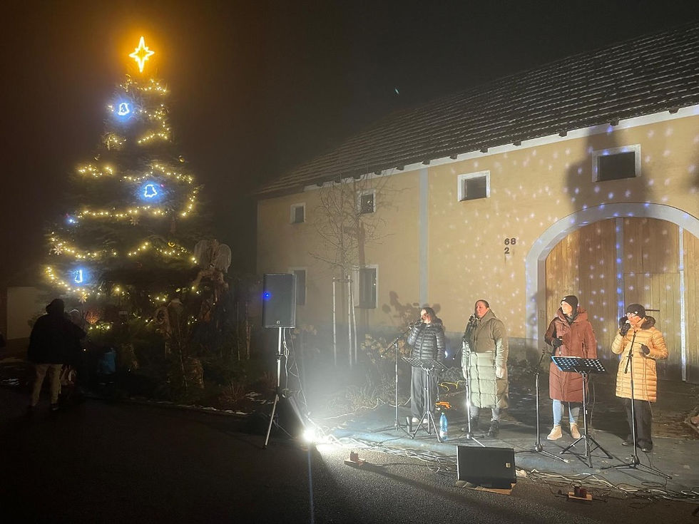 Rozsvícení vánočního stromu a betlému