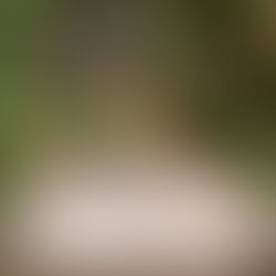 Cleveland Restoration Society - The Historic Sarah Benedict House