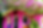 Screenshot 2023-07-14 at 3.36.38 PM