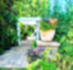 Eye-level view of a serene botanical garden with diverse plant life