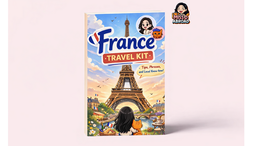 France Travel Kit cover with Eiffel Tower, woman, and cat.