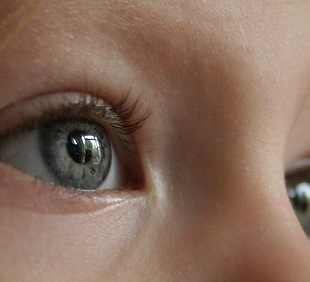 eyes.png