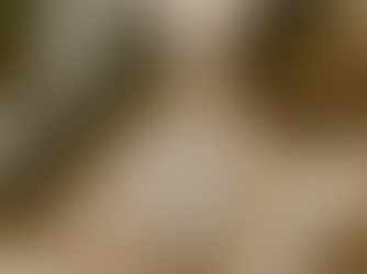 Traditional Thai Massage: Beginner's Complete Guide