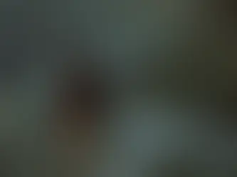 Discover the Top 5 Cities Famous for Their Walking Streets