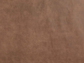 Duurzaamheid en Comfort: Ontdek de Resofa Gerecyclede Hondenkussens in Bizon Stof