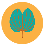 LO01 ANIMA SIMBOLO BAUHINIA-12.png