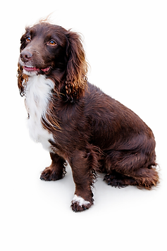 Simax Care Media- Hull