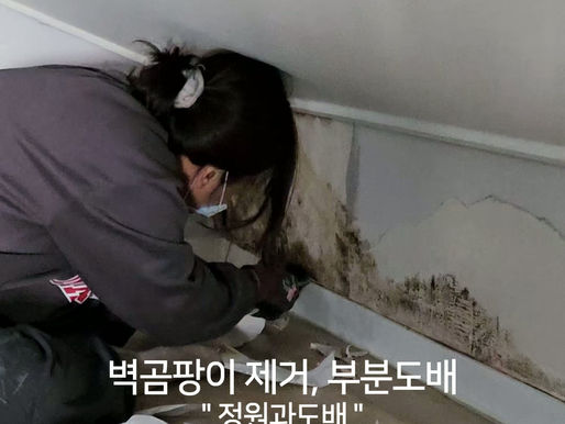 관악 옥탑방 곰팡이 제거 "열악한 작업환경" 하지만 깔끔하게! 정원과도배