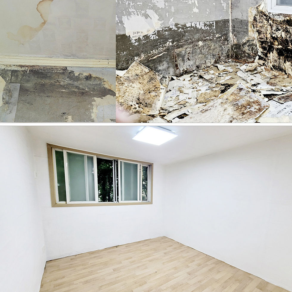 곰팡이벽지, 벽지 속 곰팡이는 음습한 곳으로 나쁜 기운과 세균이 모여 있어, 거주자의 건강을 해롭게 한다. 이런 경우, 반드시 곰팡이 제거와 예방 그리고 바이오필릭 애뮬릿 초배 벽지 시공으로 환경과 위생을 개선하자. 정원과도배