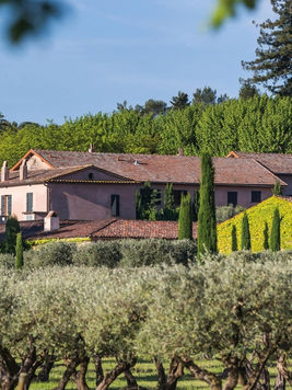 Alt text: Panoramic view of Château Sainte-Roseline surrounded by lush vineyards under the clear blue Provencal sky