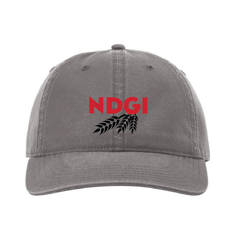 Thumbnail: Richardson Odell Cap