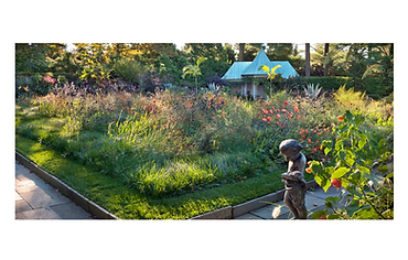 News C Life May 2019.jpg