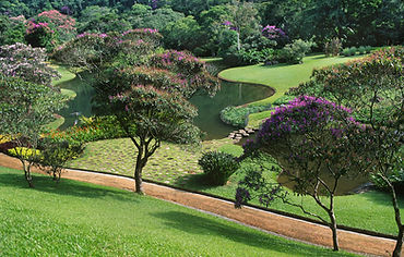 News C Life May 2019.jpg