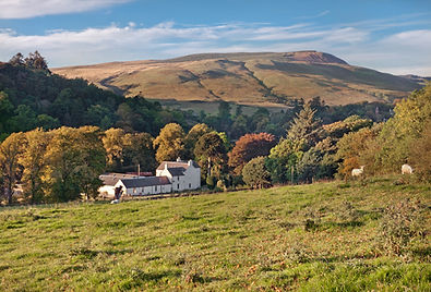 Alton Albany Farm