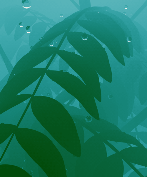 sci-fi-monochromatic-gif-animations-carl