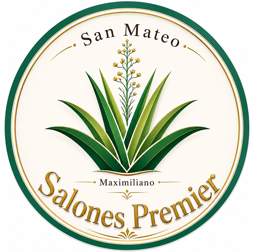 Logo actualizado Salones Premier.png