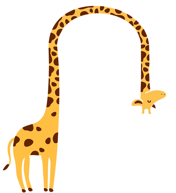 girafa site.png